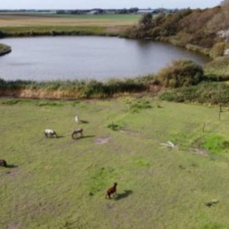 B&B Hoeve Dijkstal Logeren Op De Boerderij Sint Maarten Exteriör bild