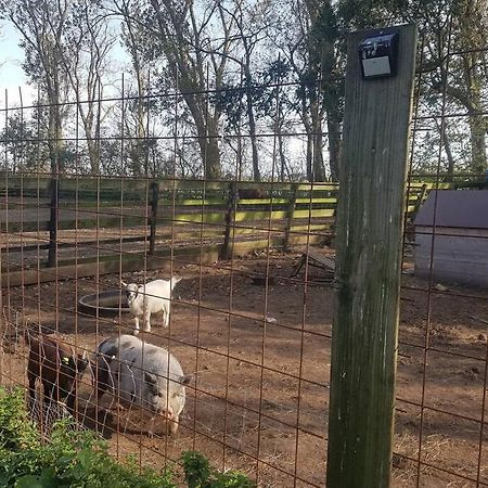 B&B Hoeve Dijkstal Logeren Op De Boerderij Sint Maarten Exteriör bild