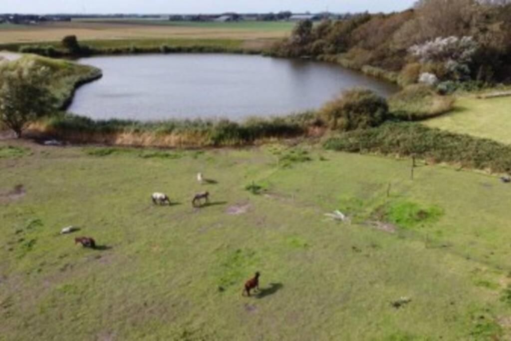 B&B Hoeve Dijkstal Logeren Op De Boerderij Sint Maarten Exteriör bild